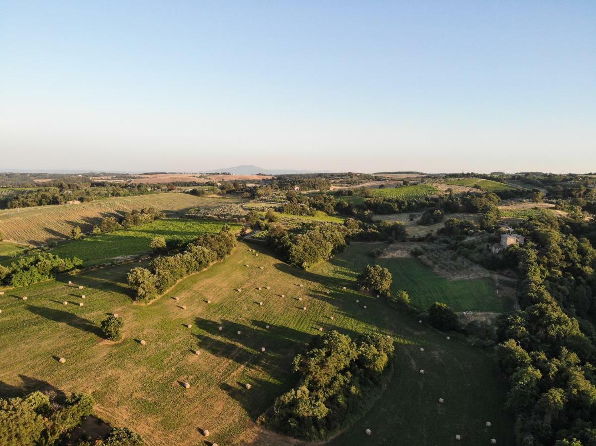 La Suite Della Torre Del Bennicelli ออร์เวียโต ภายนอก รูปภาพ